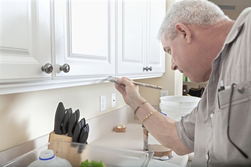 Kitchen Cabinets Refacing in Indianapolis, IN